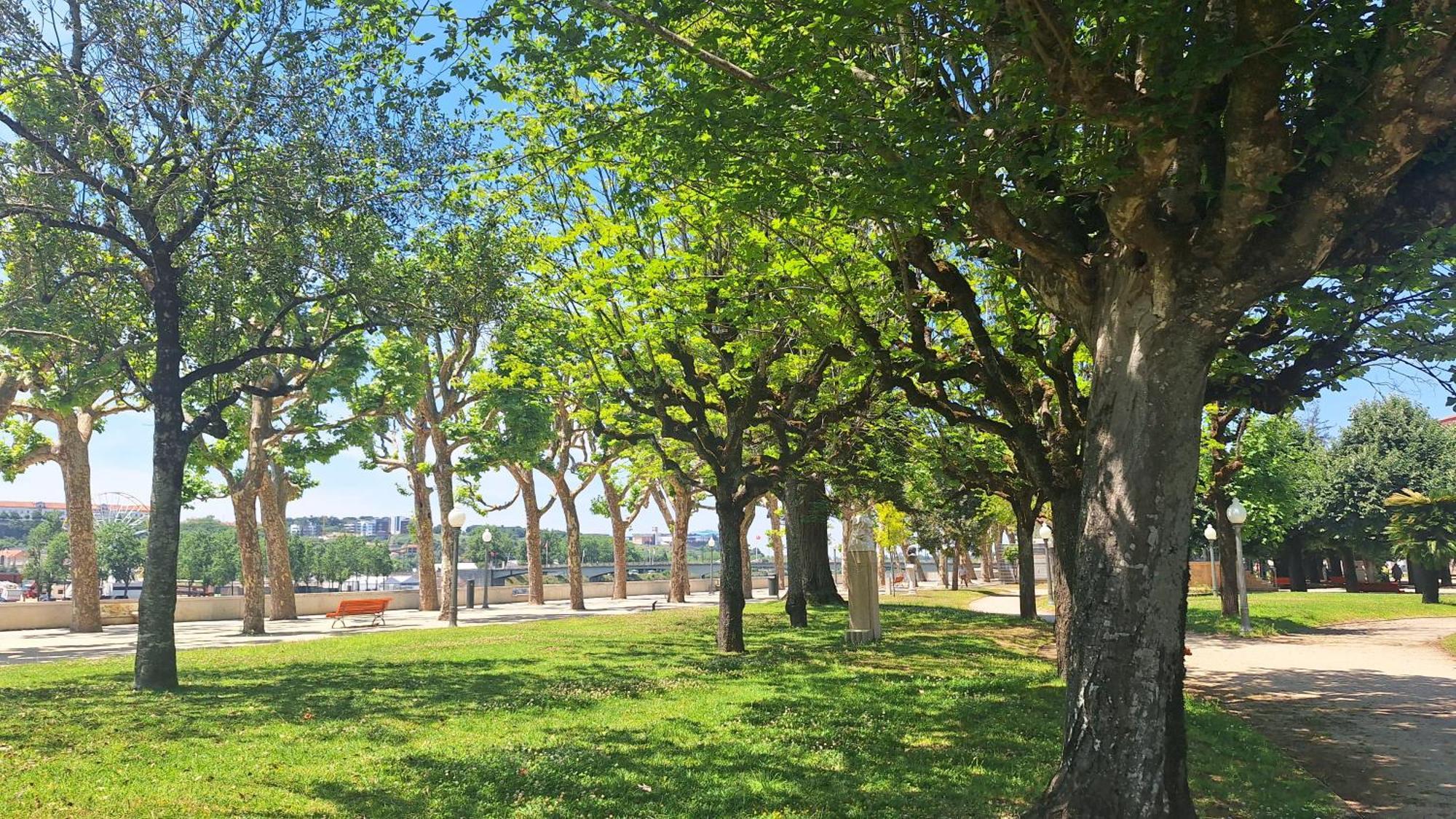 Vinum Apartamentos 1890 Coimbra Ngoại thất bức ảnh